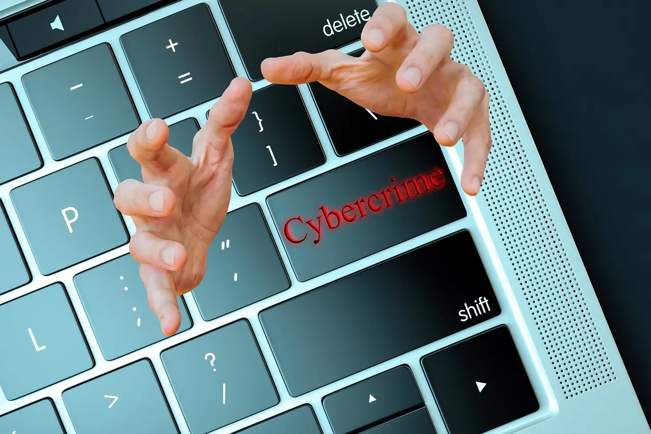 cybercrime, internet, hacker, password