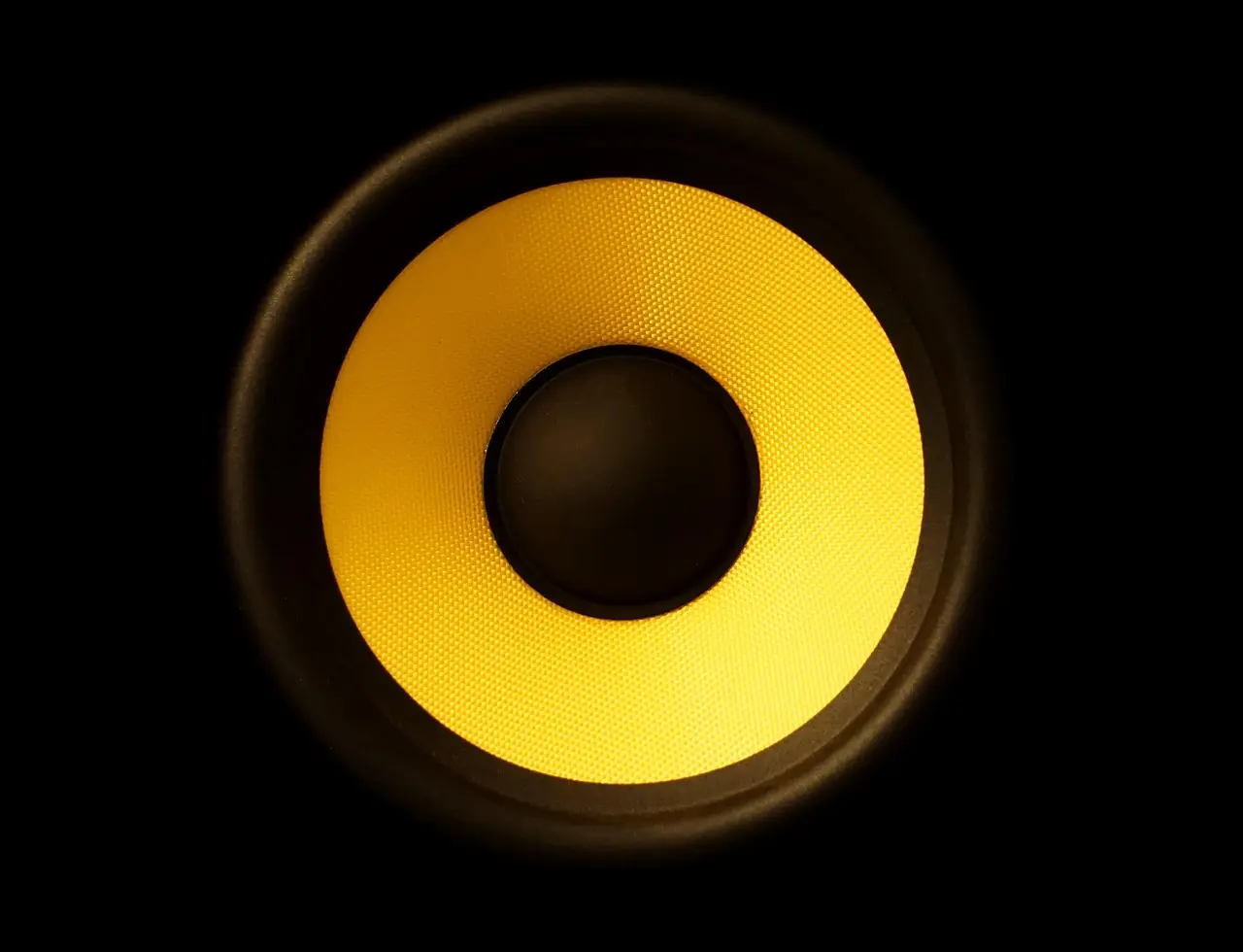 A close-up of a loudspeaker.
