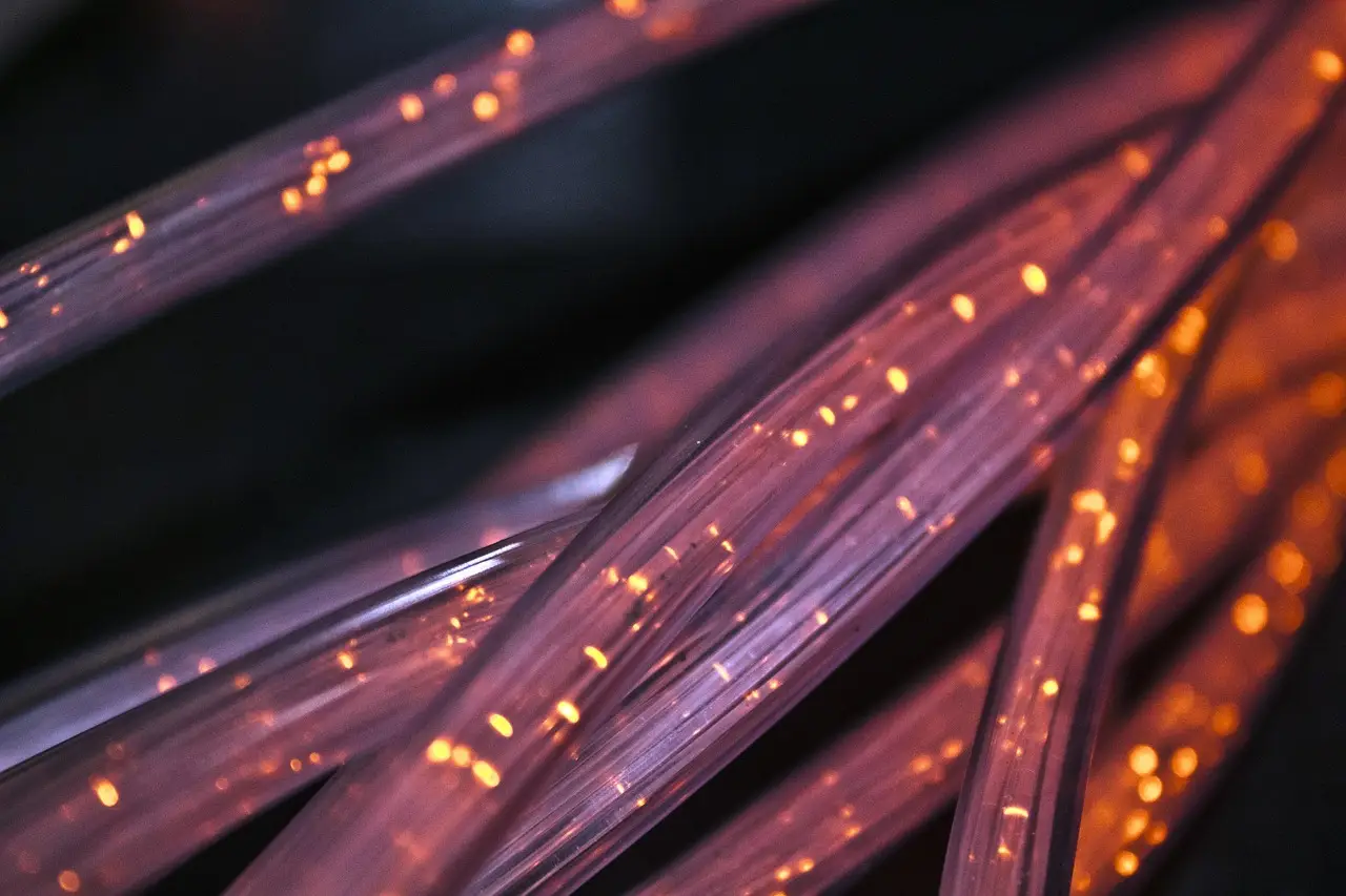 Network cables plugged into a device.