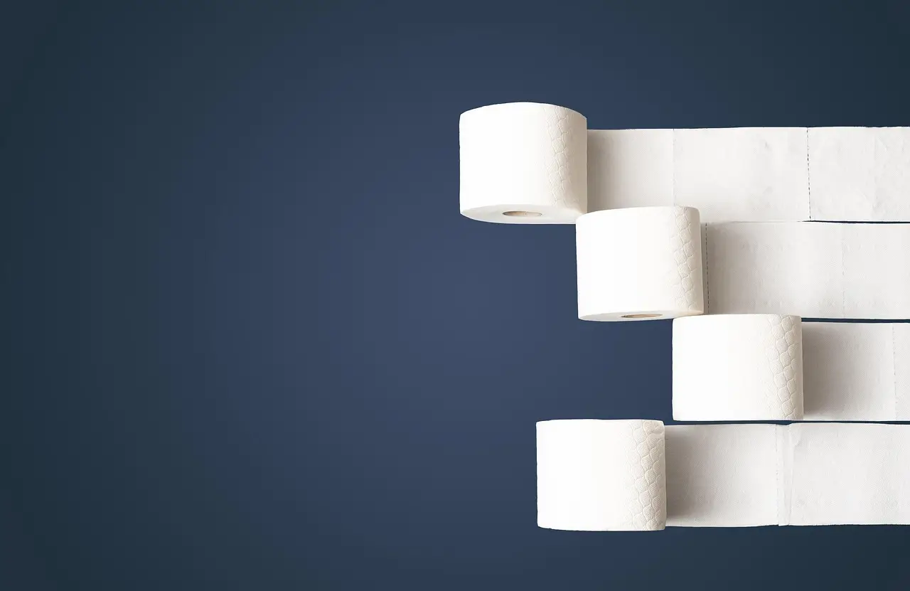 toilet paper, hd wallpaper, toilet, paper