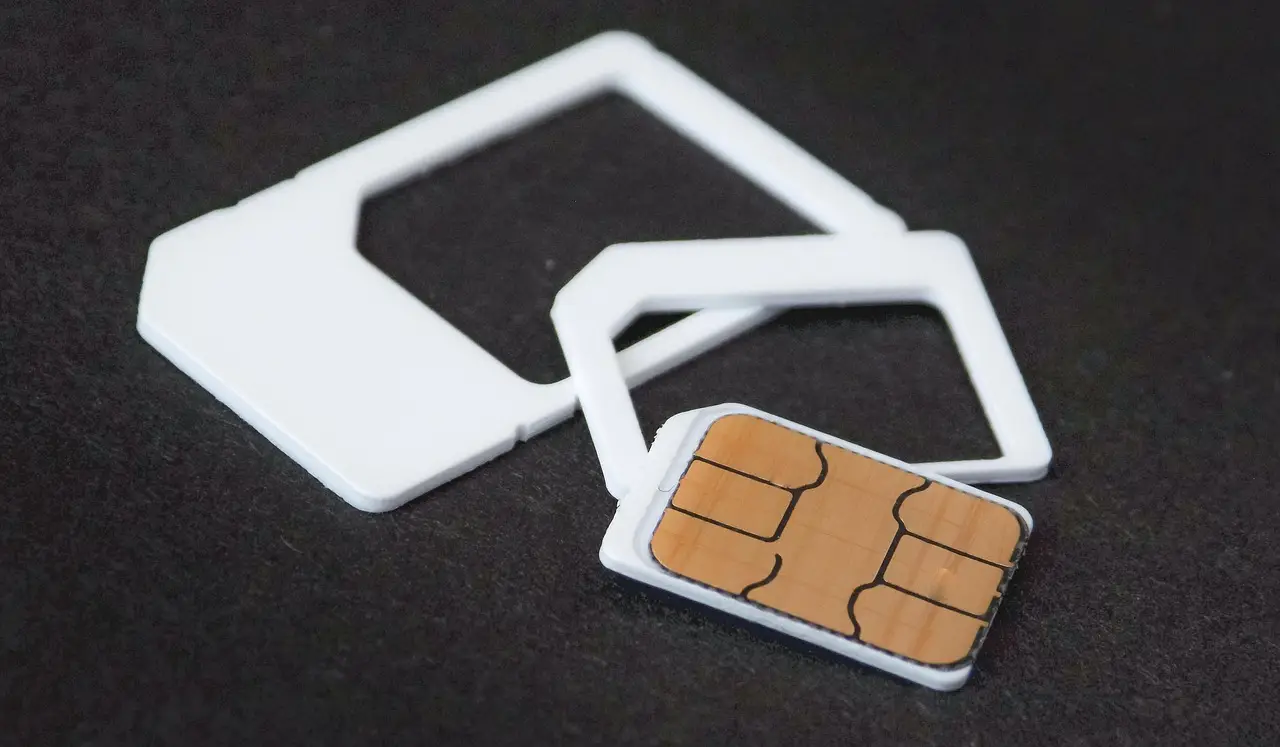 SIM cards in several sizes laid out on a surface