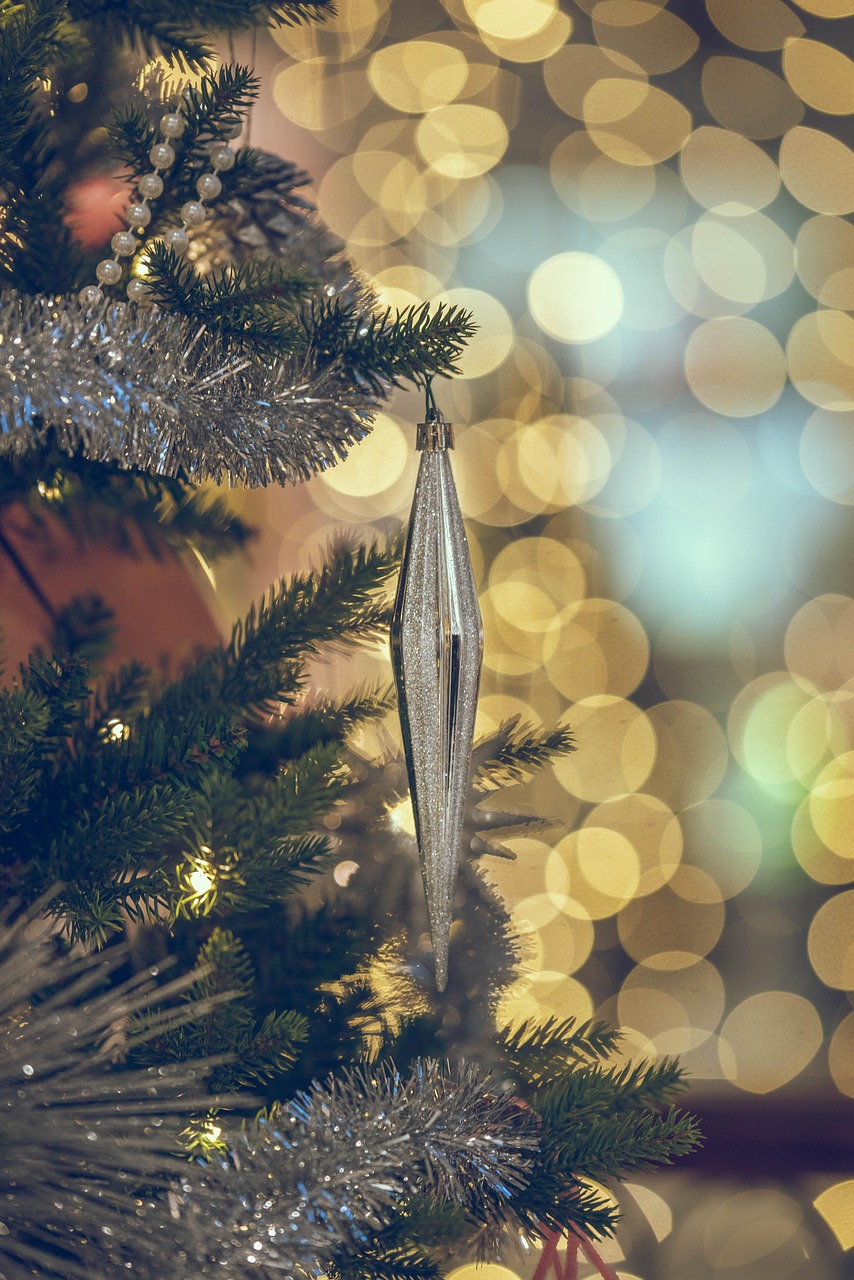 Merry Christmas – Celebrating in Christmas Wonderland