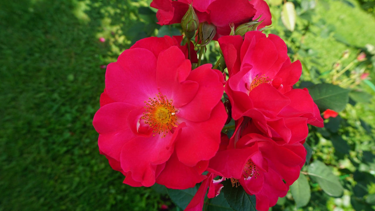Best wedding color which will make your wedding party fairy like romantic affair